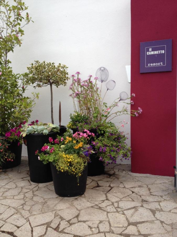 Il Caminetto Montefiascone Otel Dış mekan fotoğraf